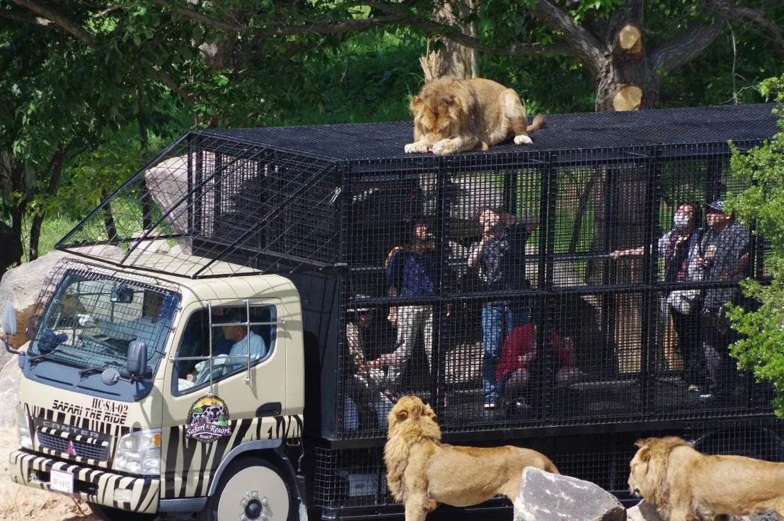 🦁 히메지 센트럴 파크 이미지 1